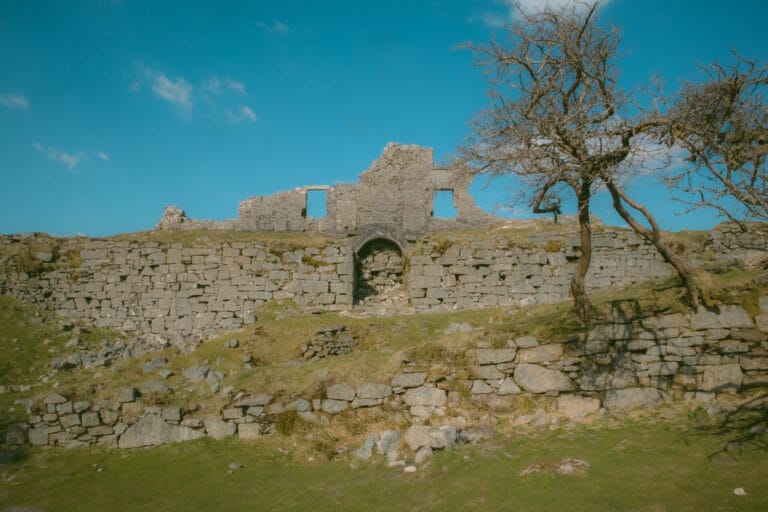 Image for A Quarry Dartmoor Reclaimed