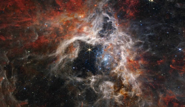 Image for Creation