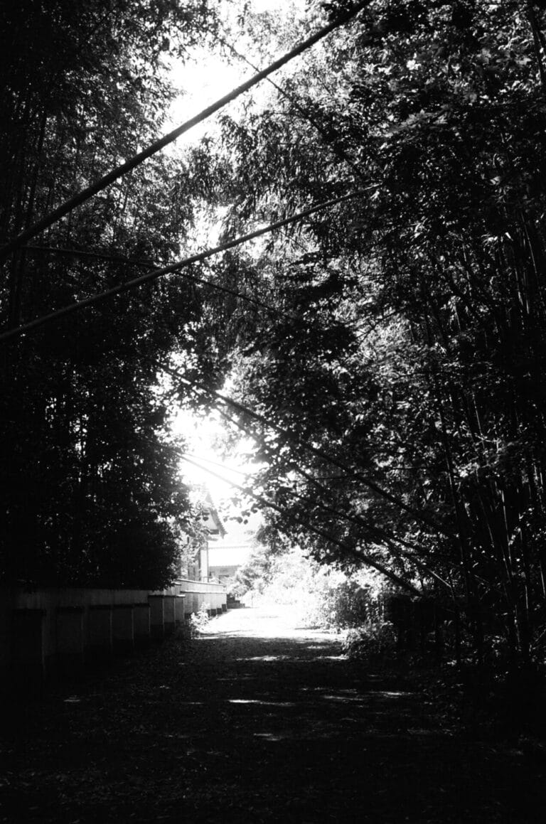 Image for In Transit